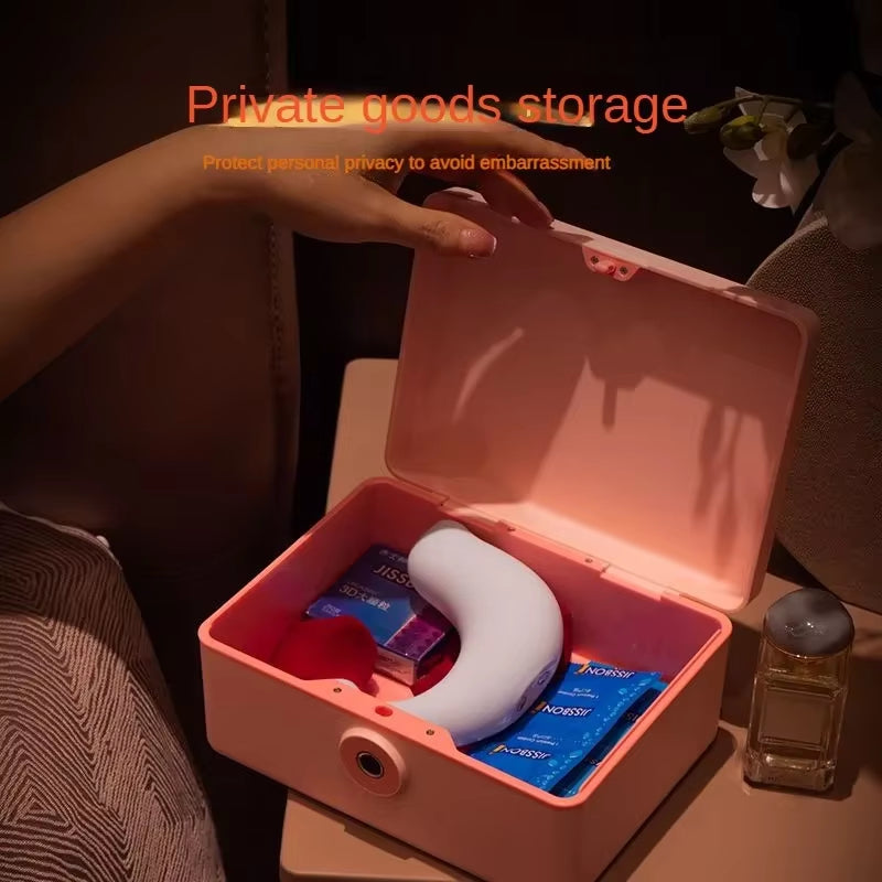 Fingerprint Safe Box Money Cash Coin Jewelry Security Storage Box Office Household File Secret Hidden Safe Piggy Bank Mini Safe